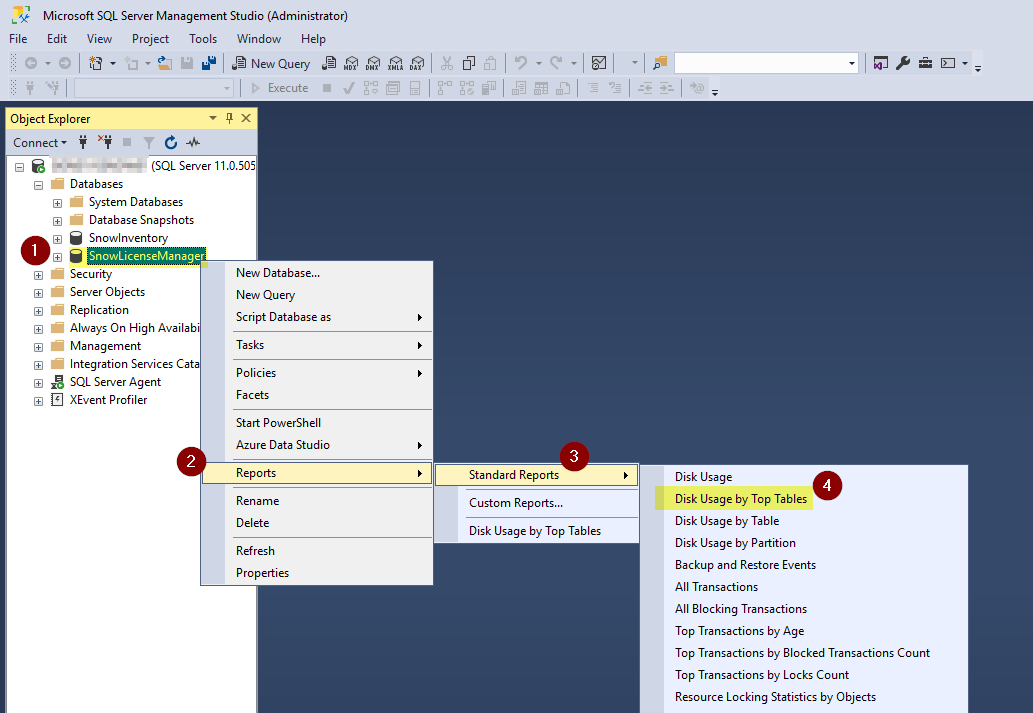 Snow License Manager DB Top Tables 01.png