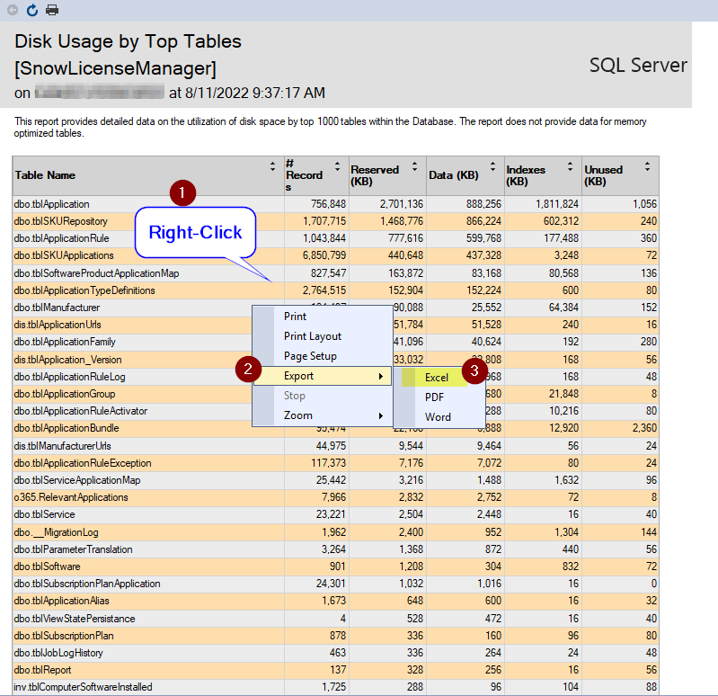 Snow License Manager DB Top Tables 02.png