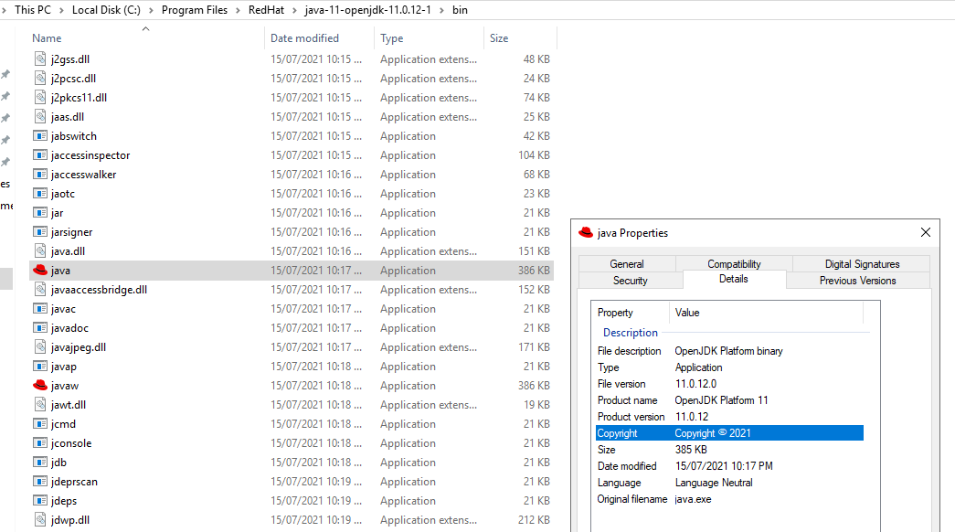 Java 11 metadata Details tab.png