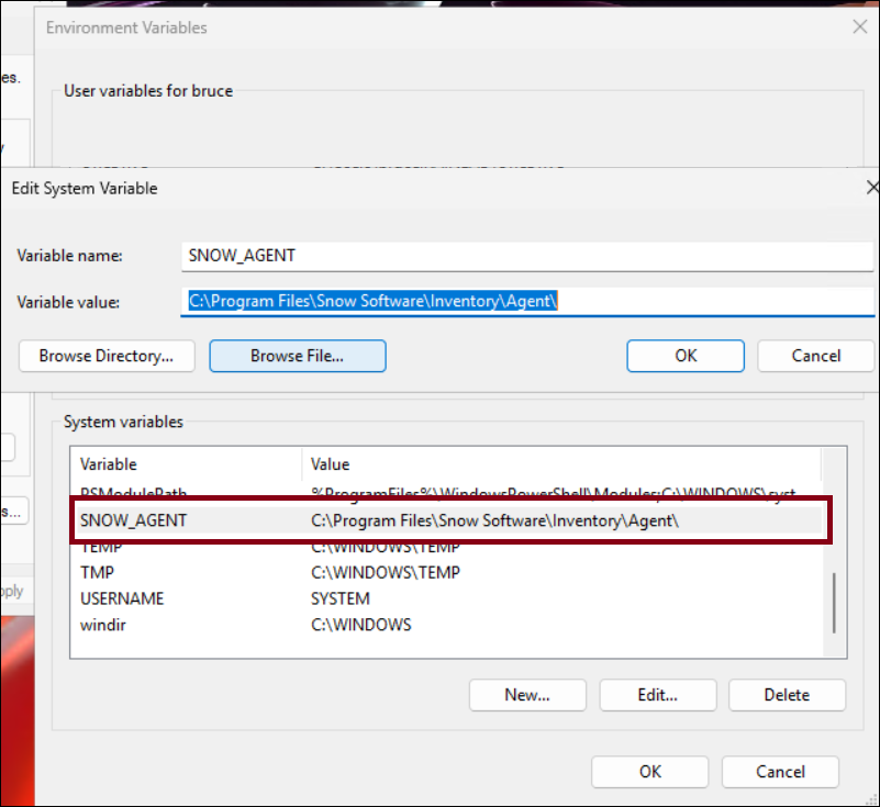 Snow Inventory Agent error: Cannot bind argument to parameter ...