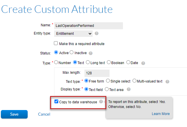 CustomAttribOptionforReports.png