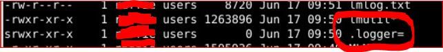logger file.JPG